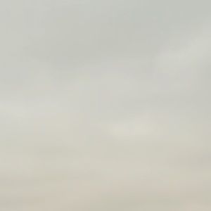 Meet your Posher, Brielle